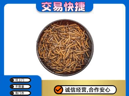 丹东市振兴回收散虫草